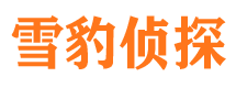 雷州外遇出轨调查取证